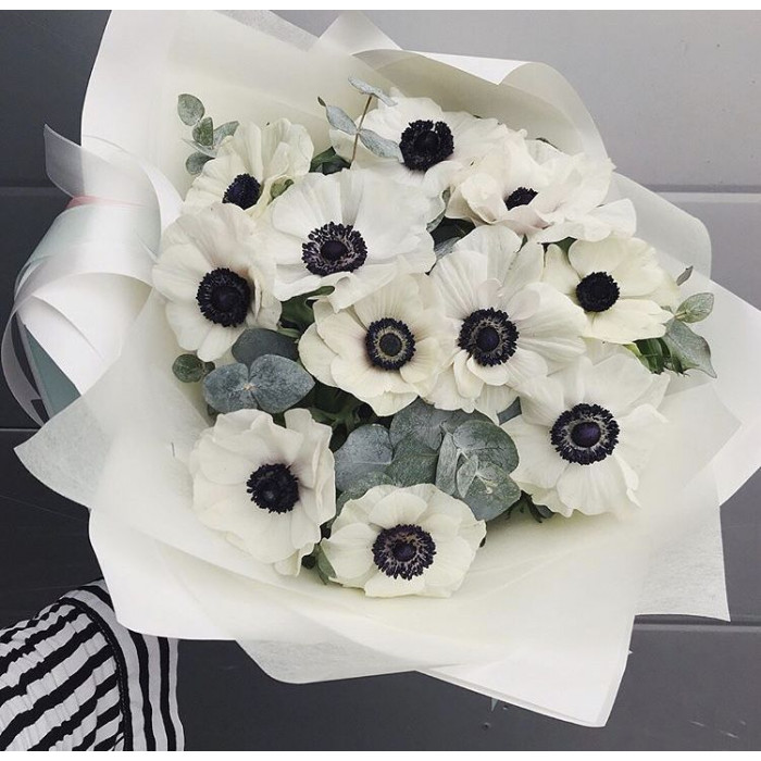 Анемоны в Шымкенте