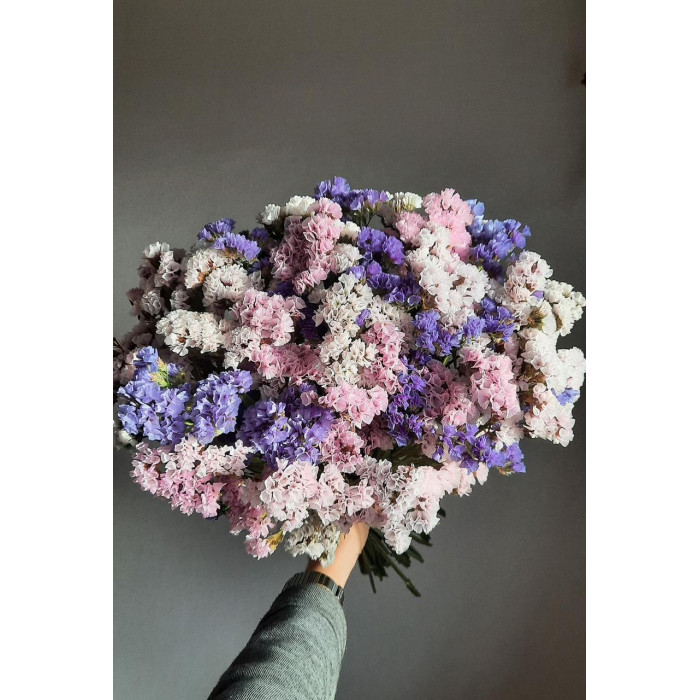 Статица (Лимониум) в Шымкенте