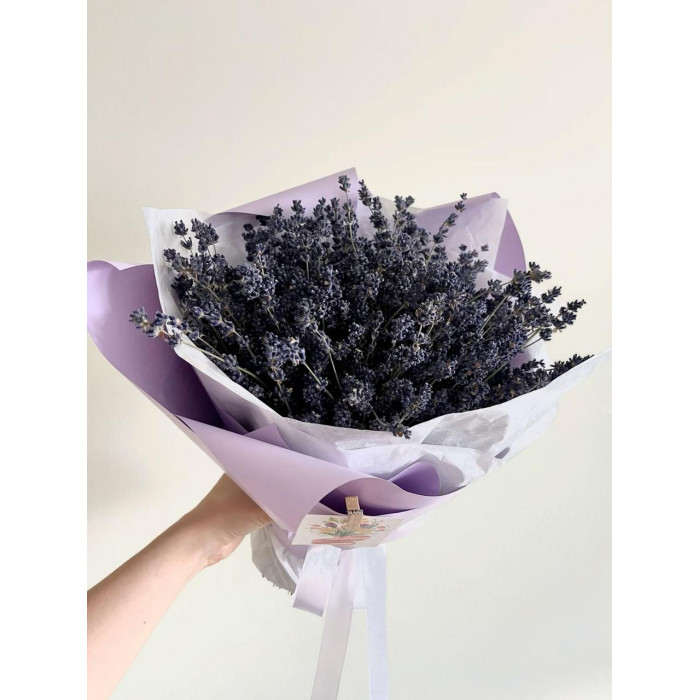 Лаванда в Шымкенте