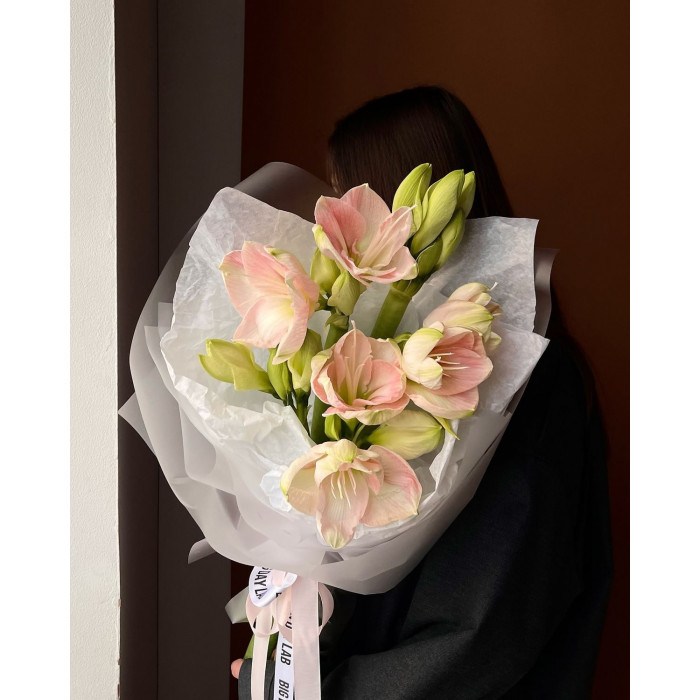 Амариллис в Шымкенте