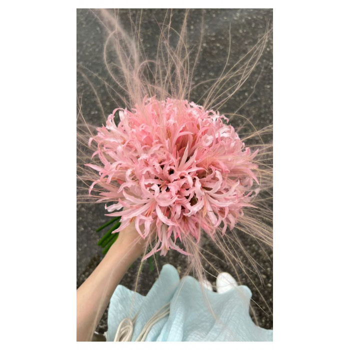 Нерине в Шымкенте