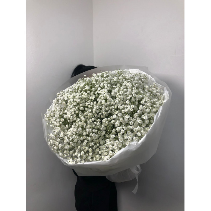 Гипсофила классическая в Шымкенте