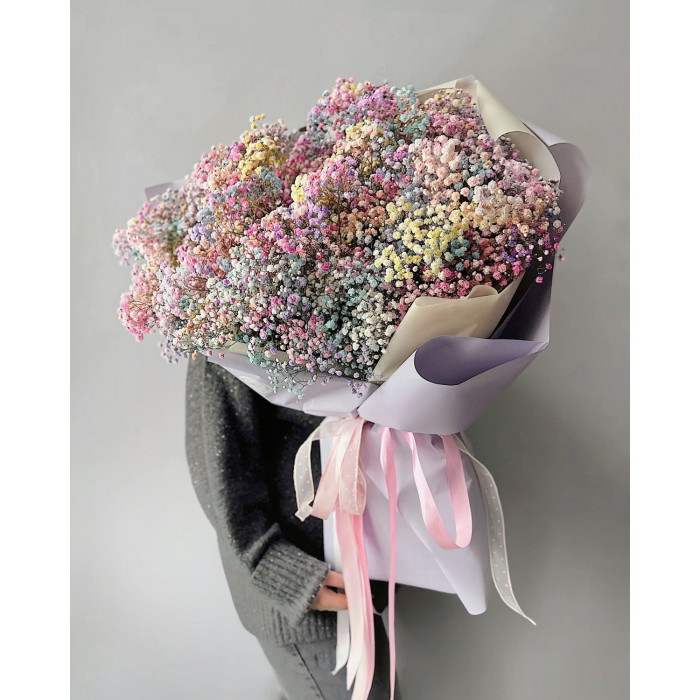 Гипсофила цветная в Шымкенте