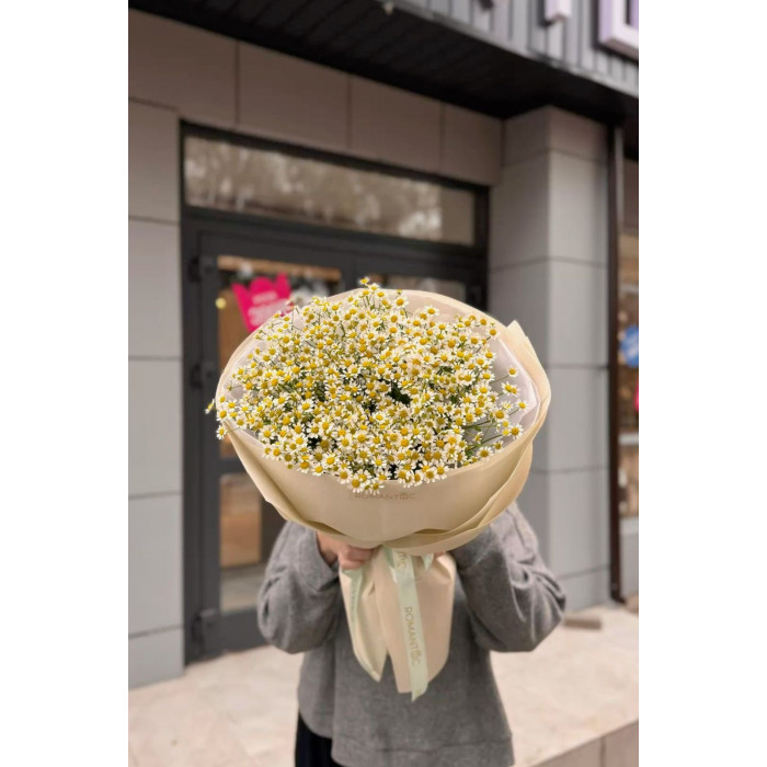 Танацетум в Шымкенте