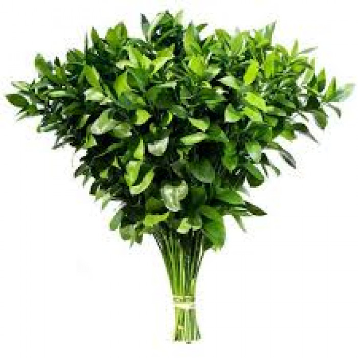 Рускус в Шымкенте